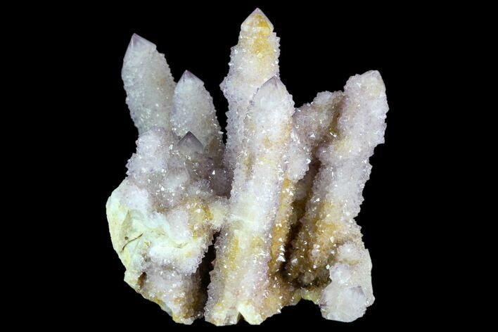Cactus Quartz (Amethyst) Cluster - South Africa #122361
